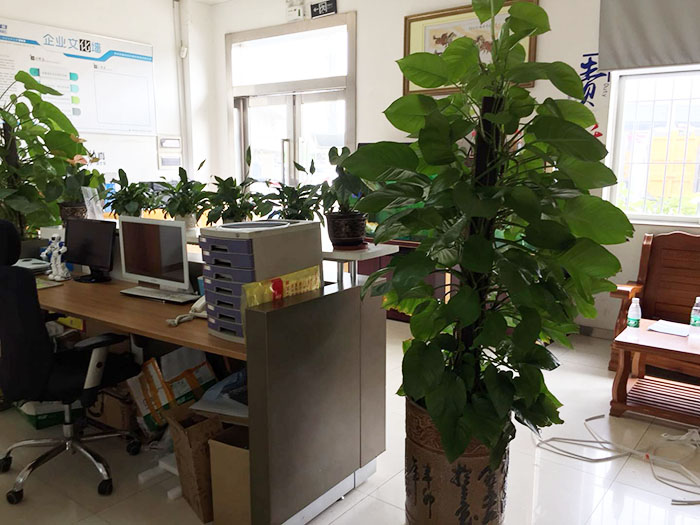 �T���k���^(q��)